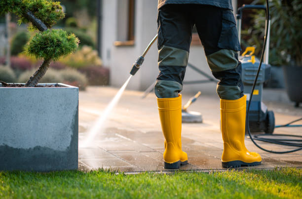 Best Roof Pressure Washing  in Knoxville, TN